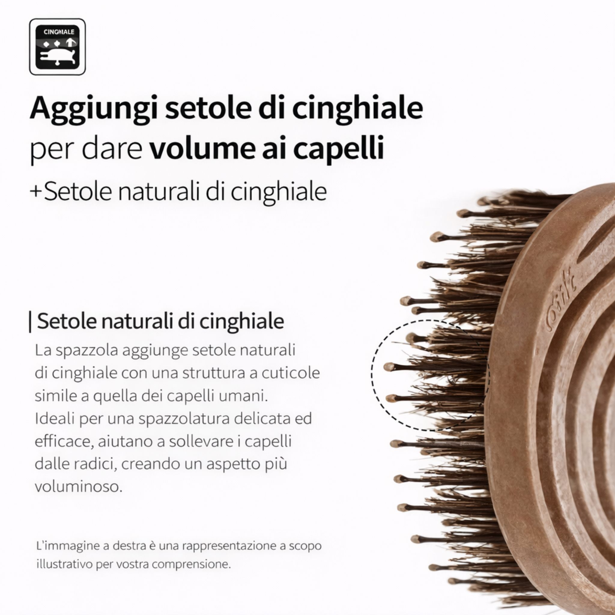Spazzola effetto legno – Quadrata con setole naturali